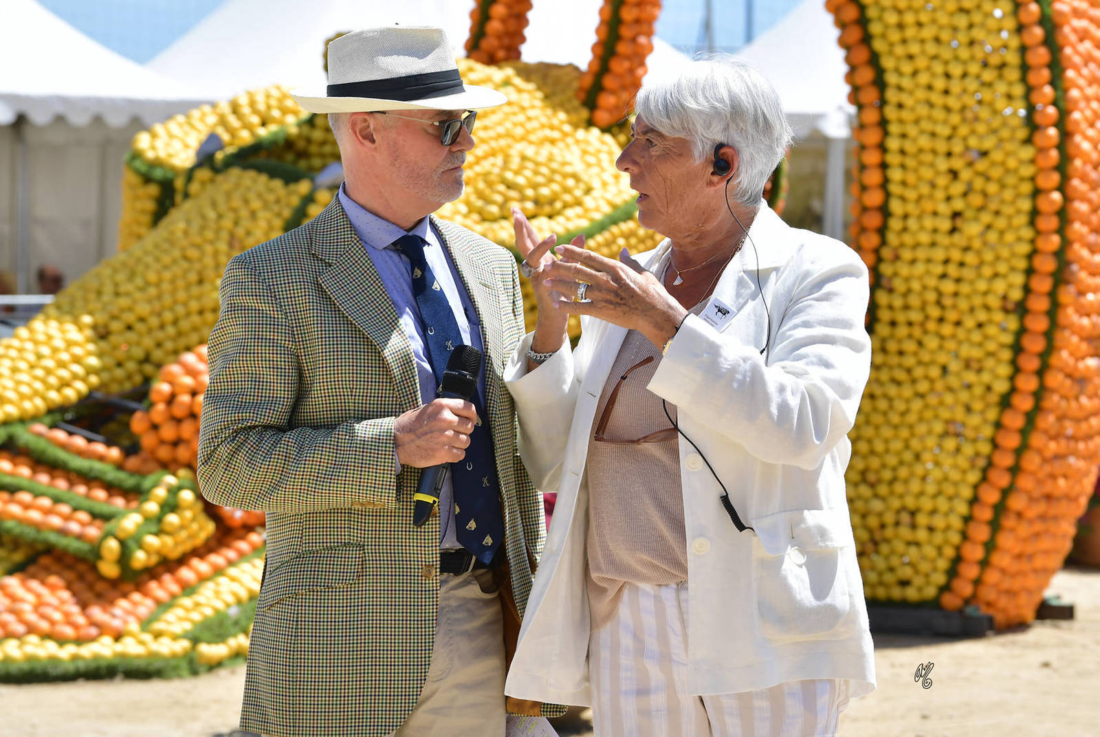 Lisa Abraham: MENTON ~ The 2019 Mediterranean & Arab Countries Arabian Horse Championship Photo Gallery