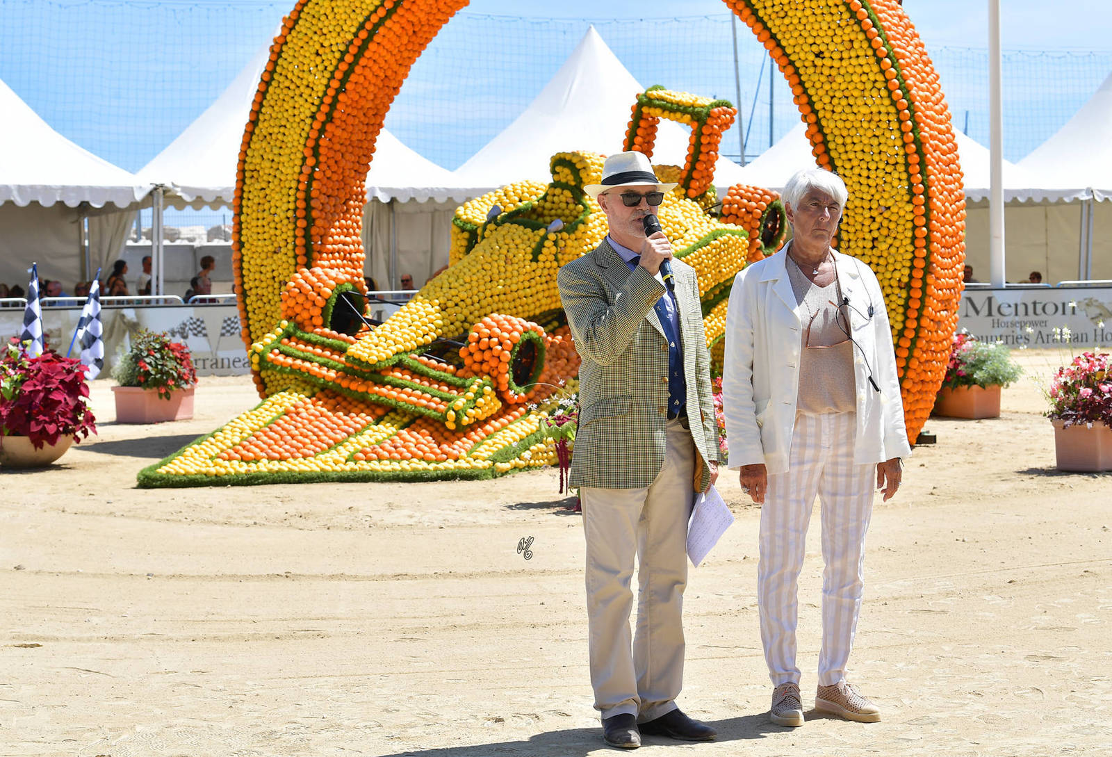 Lisa Abraham: MENTON ~ The 2019 Mediterranean & Arab Countries Arabian Horse Championship Photo Gallery