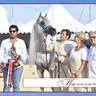 Lisa Abraham: MENTON ~ The 2019 Mediterranean & Arab Countries Arabian Horse Championship Photo Gallery