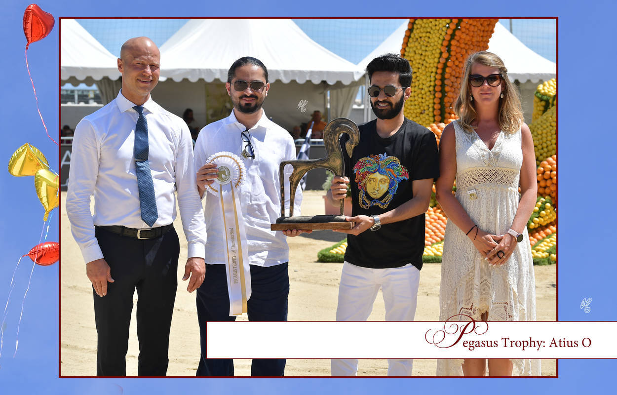 Lisa Abraham: MENTON ~ The 2019 Mediterranean & Arab Countries Arabian Horse Championship Photo Gallery