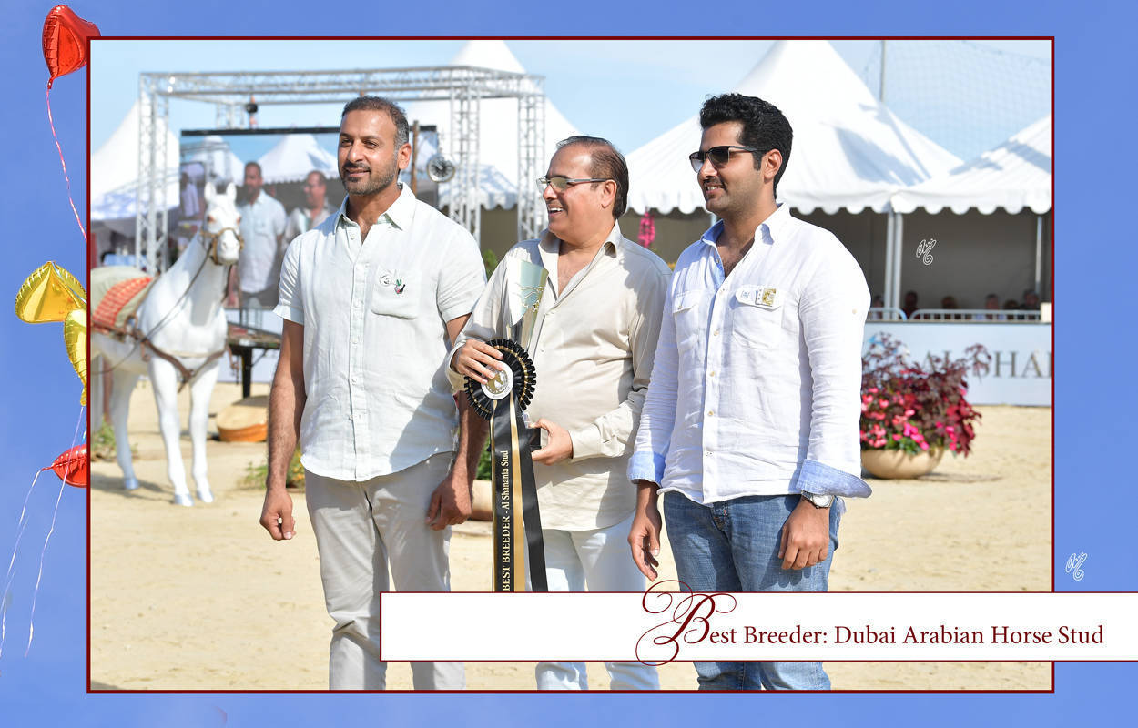 Lisa Abraham: MENTON ~ The 2019 Mediterranean & Arab Countries Arabian Horse Championship Photo Gallery