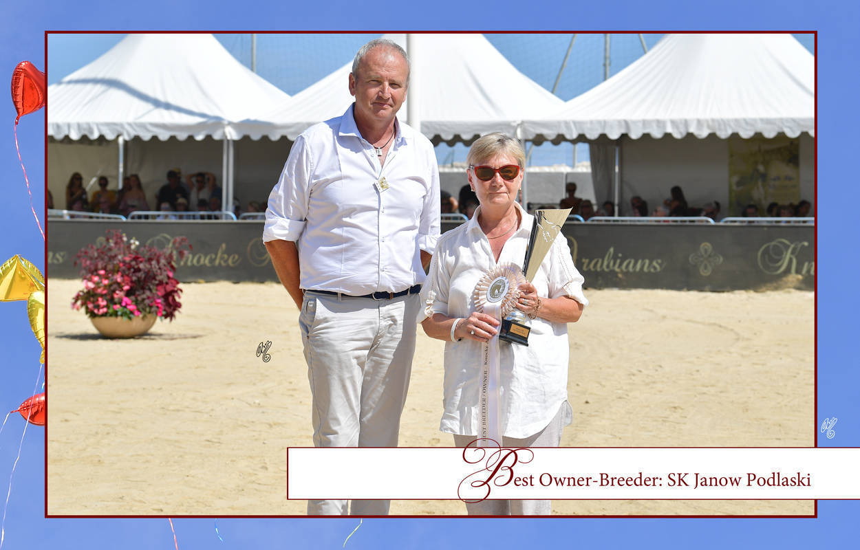 Lisa Abraham: MENTON ~ The 2019 Mediterranean & Arab Countries Arabian Horse Championship Photo Gallery