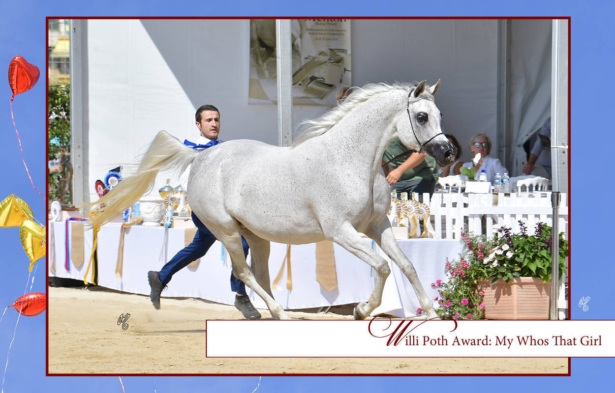 Lisa Abraham: MENTON ~ The 2019 Mediterranean & Arab Countries Arabian Horse Championship Photo Gallery