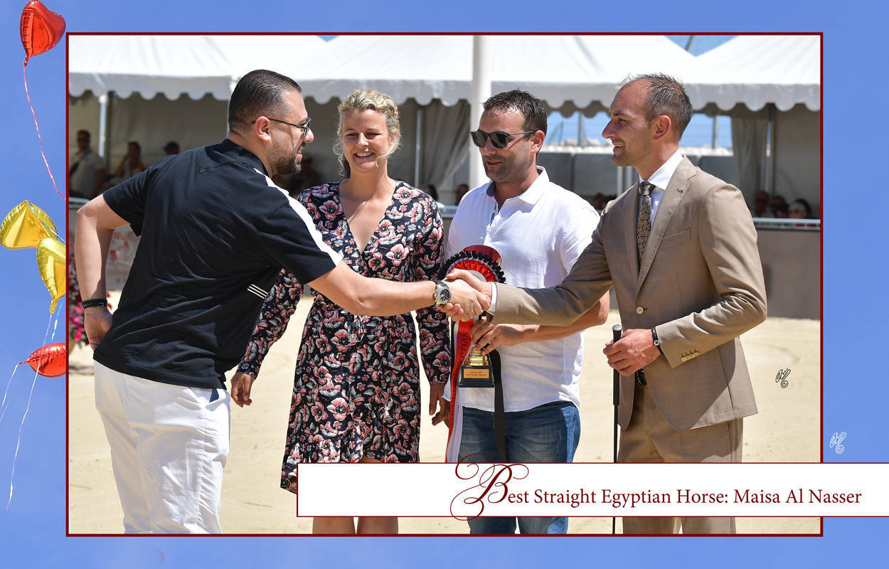 Lisa Abraham: MENTON ~ The 2019 Mediterranean & Arab Countries Arabian Horse Championship Photo Gallery