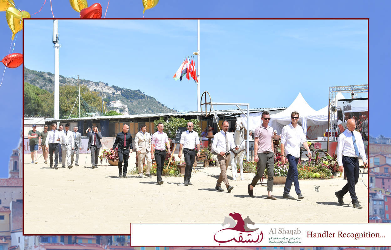 Lisa Abraham: MENTON ~ The 2019 Mediterranean & Arab Countries Arabian Horse Championship Photo Gallery