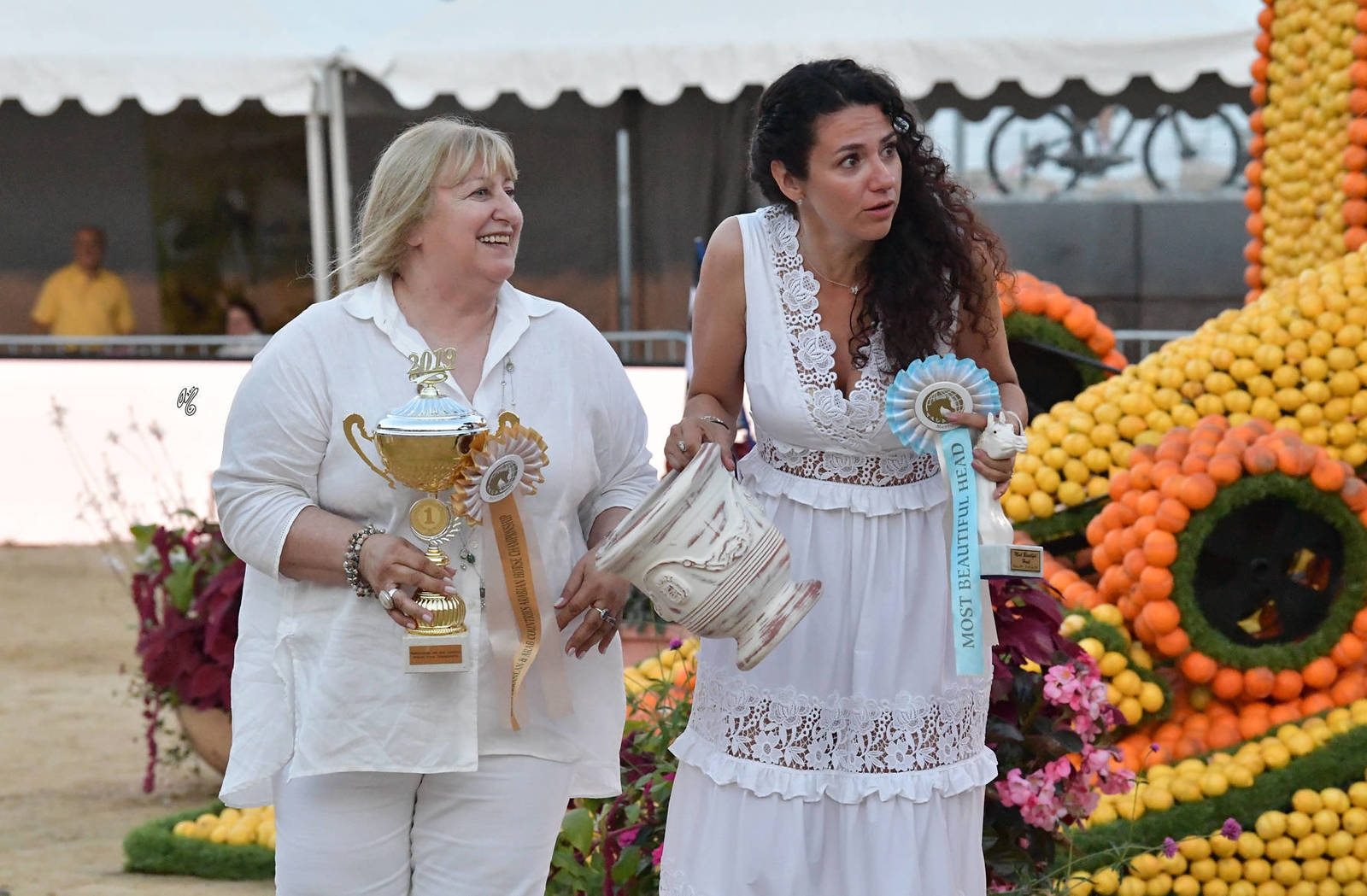 Lisa Abraham: MENTON ~ The 2019 Mediterranean & Arab Countries Arabian Horse Championship Photo Gallery