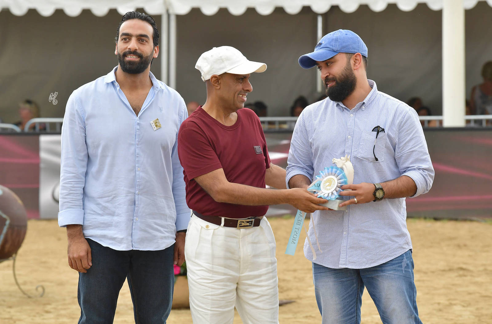 Lisa Abraham: MENTON ~ The 2019 Mediterranean & Arab Countries Arabian Horse Championship Photo Gallery