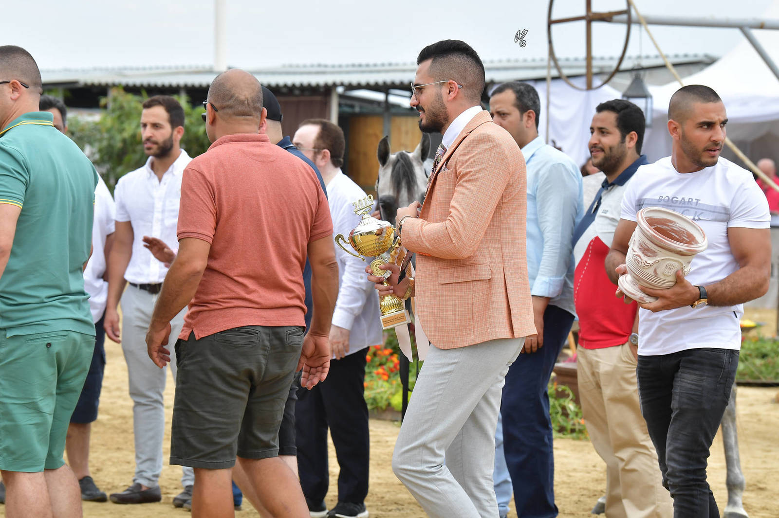 Lisa Abraham: MENTON ~ The 2019 Mediterranean & Arab Countries Arabian Horse Championship Photo Gallery