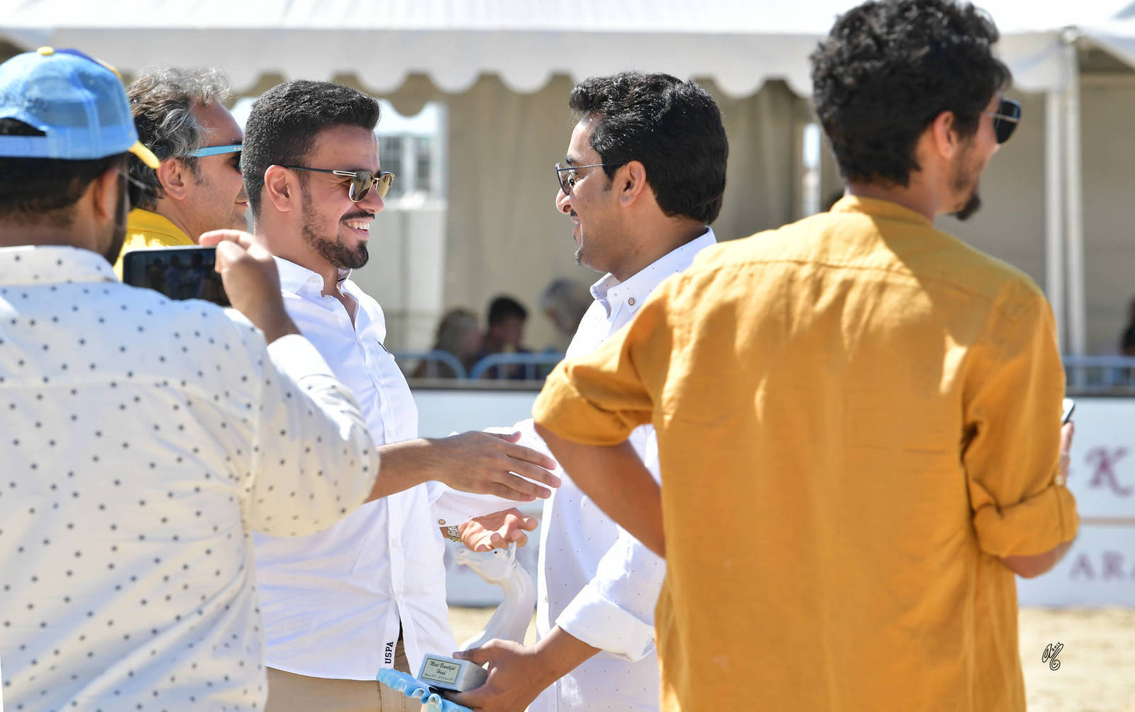 Lisa Abraham: MENTON ~ The 2019 Mediterranean & Arab Countries Arabian Horse Championship Photo Gallery