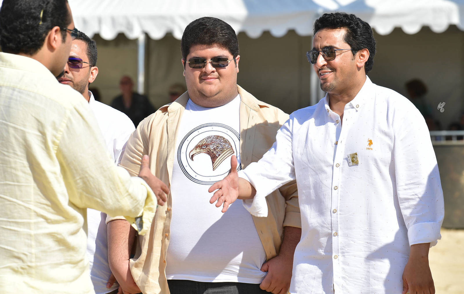 Lisa Abraham: MENTON ~ The 2019 Mediterranean & Arab Countries Arabian Horse Championship Photo Gallery