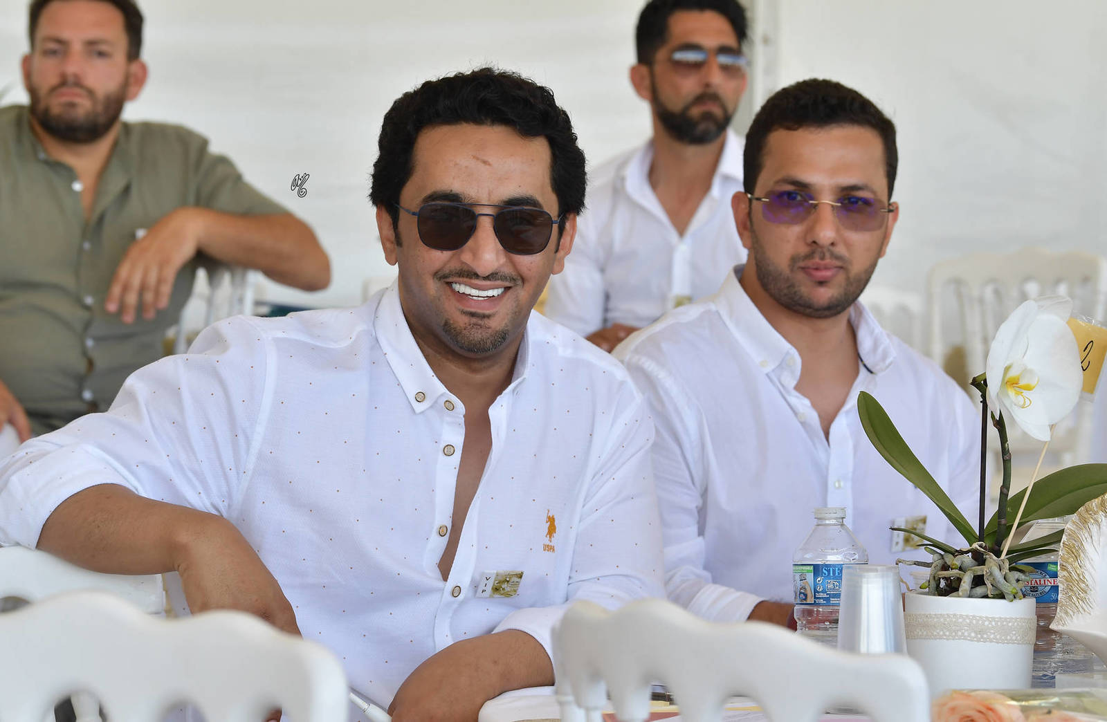 Lisa Abraham: MENTON ~ The 2019 Mediterranean & Arab Countries Arabian Horse Championship Photo Gallery