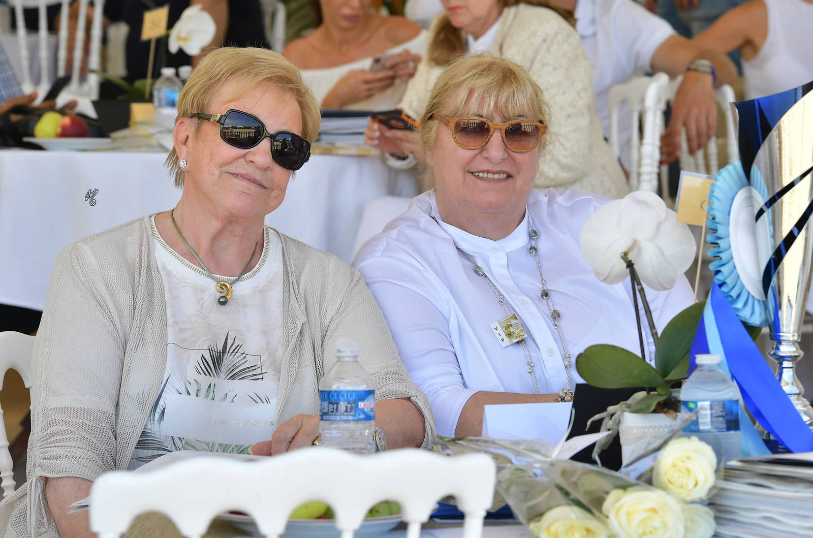 Lisa Abraham: MENTON ~ The 2019 Mediterranean & Arab Countries Arabian Horse Championship Photo Gallery