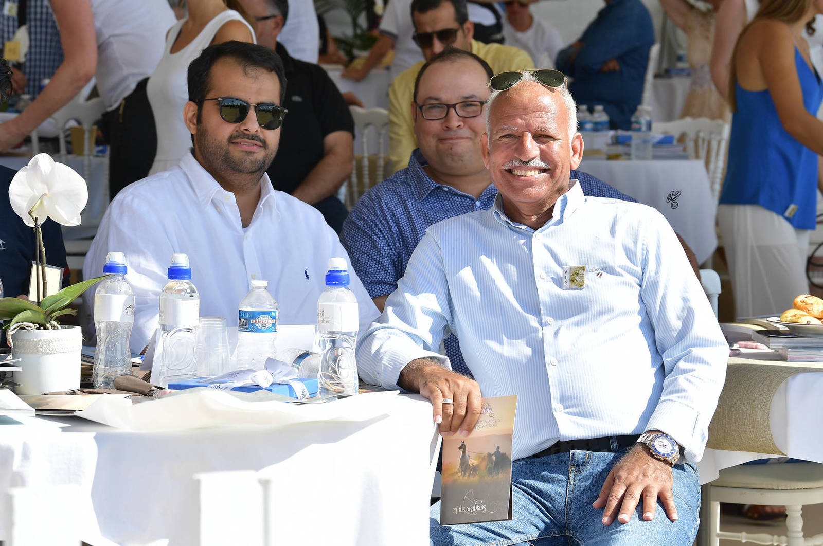 Lisa Abraham: MENTON ~ The 2019 Mediterranean & Arab Countries Arabian Horse Championship Photo Gallery