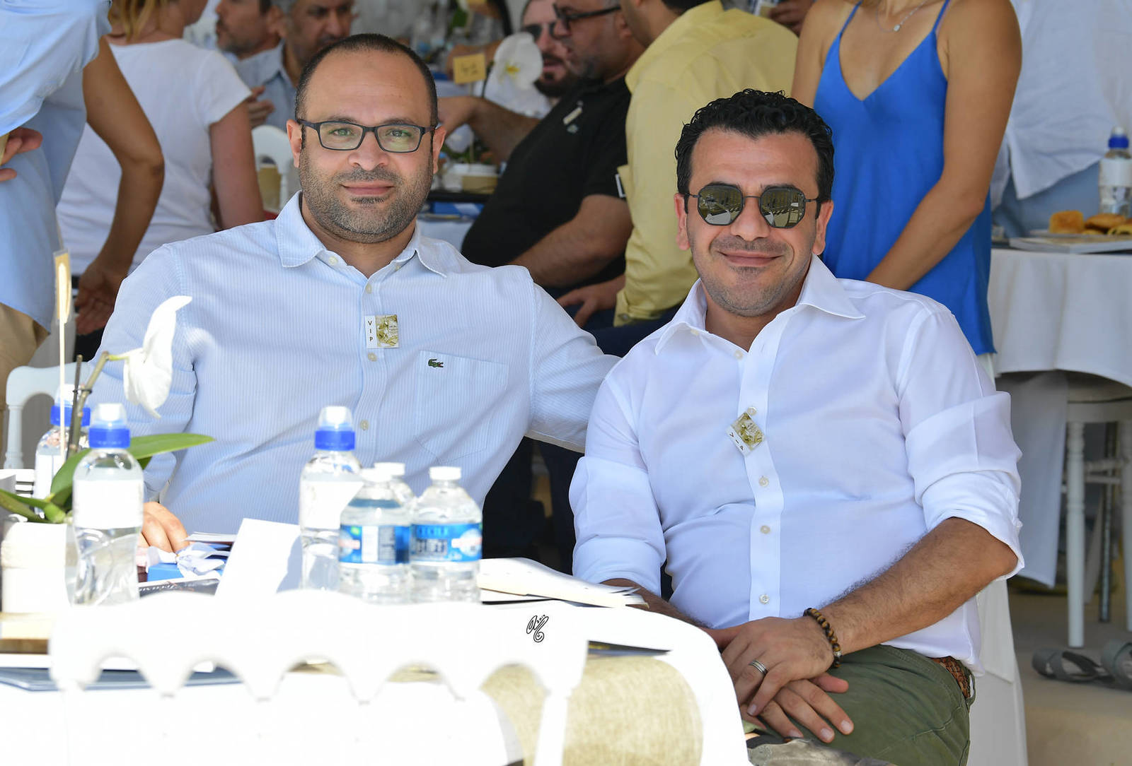 Lisa Abraham: MENTON ~ The 2019 Mediterranean & Arab Countries Arabian Horse Championship Photo Gallery