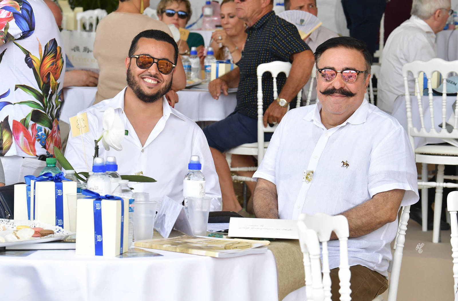 Lisa Abraham: MENTON ~ The 2019 Mediterranean & Arab Countries Arabian Horse Championship Photo Gallery