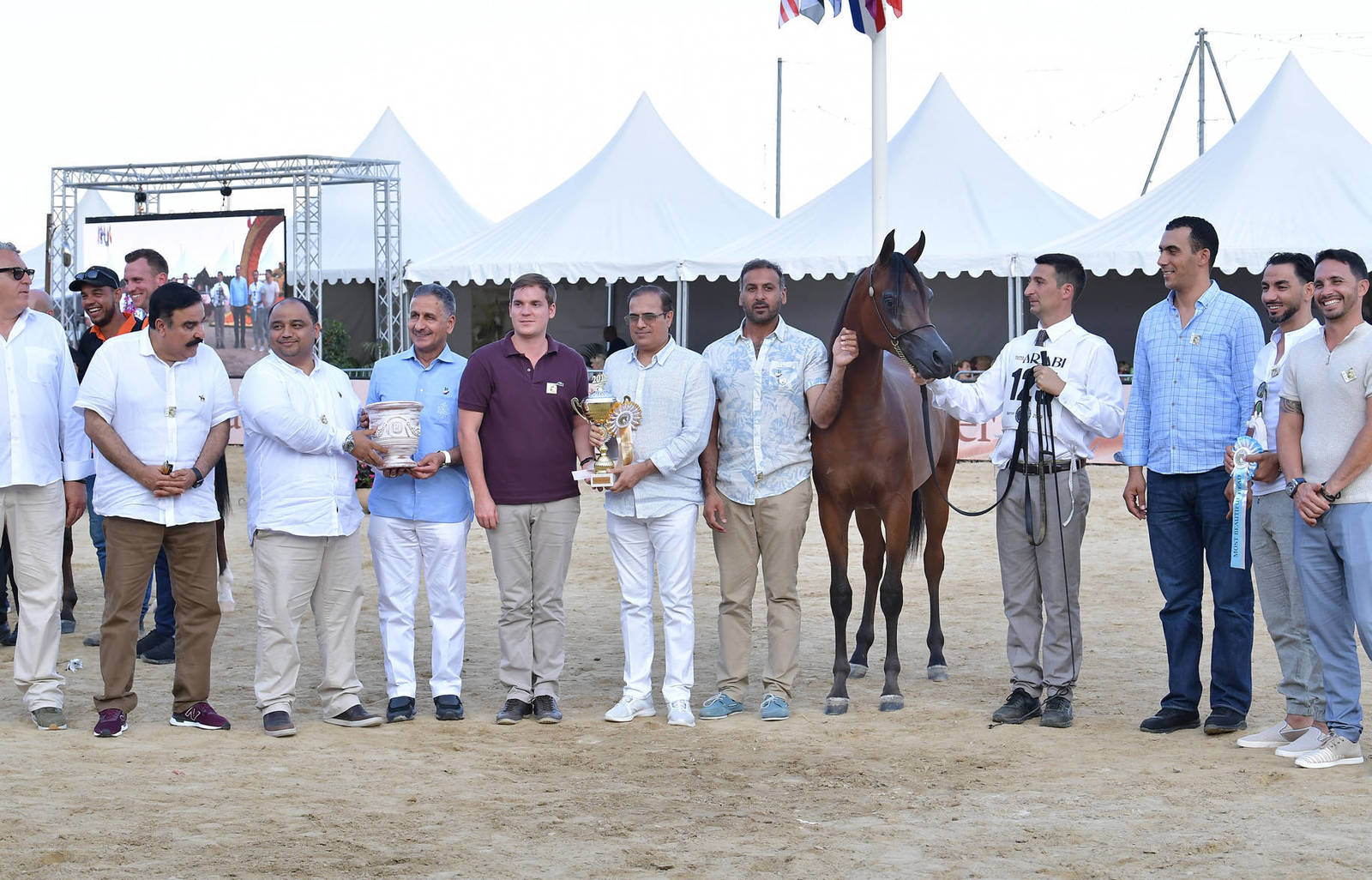Lisa Abraham: MENTON ~ The 2019 Mediterranean & Arab Countries Arabian Horse Championship Photo Gallery