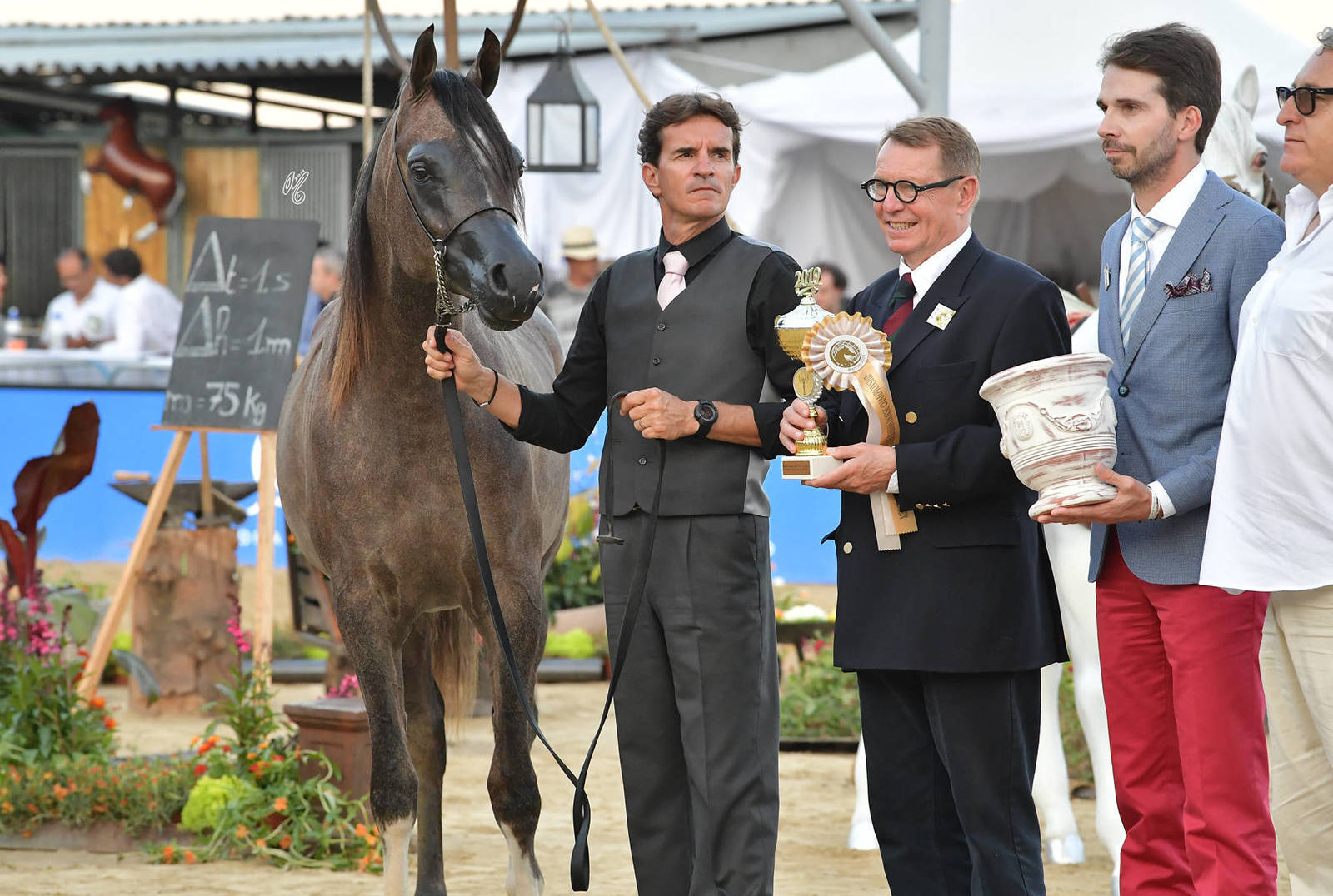 Lisa Abraham: MENTON ~ The 2019 Mediterranean & Arab Countries Arabian Horse Championship Photo Gallery