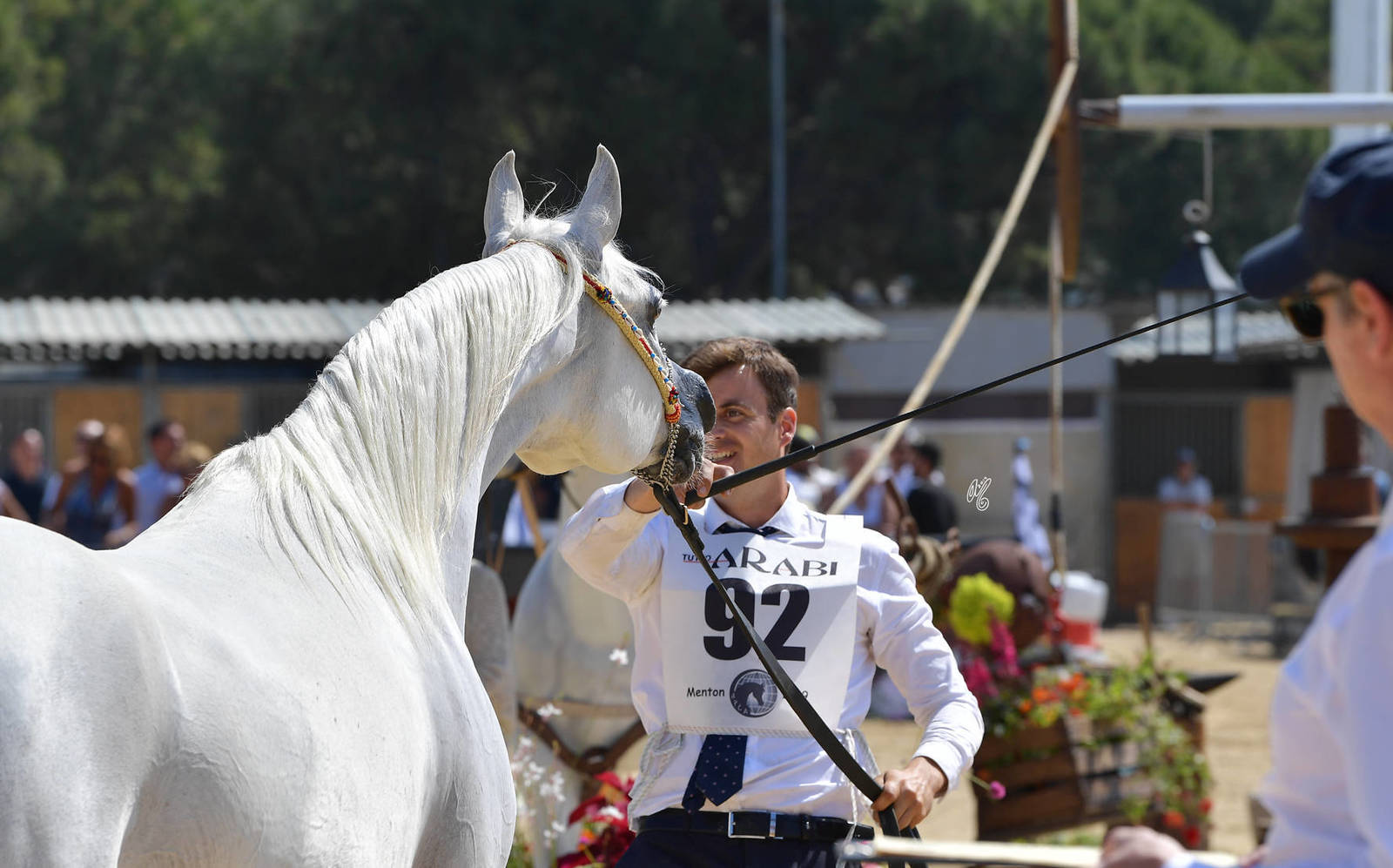 Lisa Abraham: MENTON ~ The 2019 Mediterranean & Arab Countries Arabian Horse Championship Photo Gallery