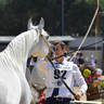 Lisa Abraham: MENTON ~ The 2019 Mediterranean & Arab Countries Arabian Horse Championship Photo Gallery