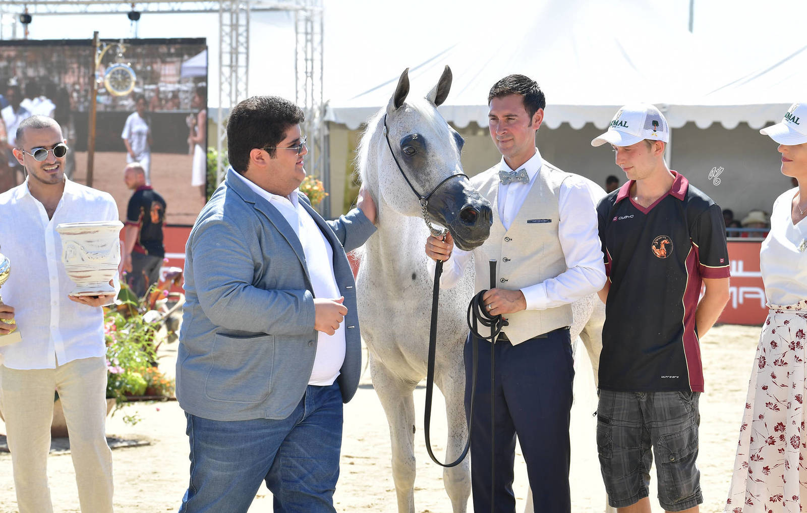 Lisa Abraham: MENTON ~ The 2019 Mediterranean & Arab Countries Arabian Horse Championship Photo Gallery