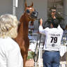 Lisa Abraham: MENTON ~ The 2019 Mediterranean & Arab Countries Arabian Horse Championship Photo Gallery