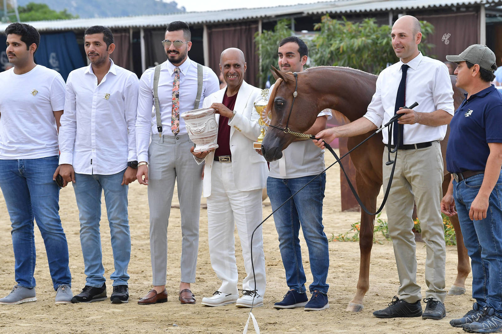 Lisa Abraham: MENTON ~ The 2019 Mediterranean & Arab Countries Arabian Horse Championship Photo Gallery
