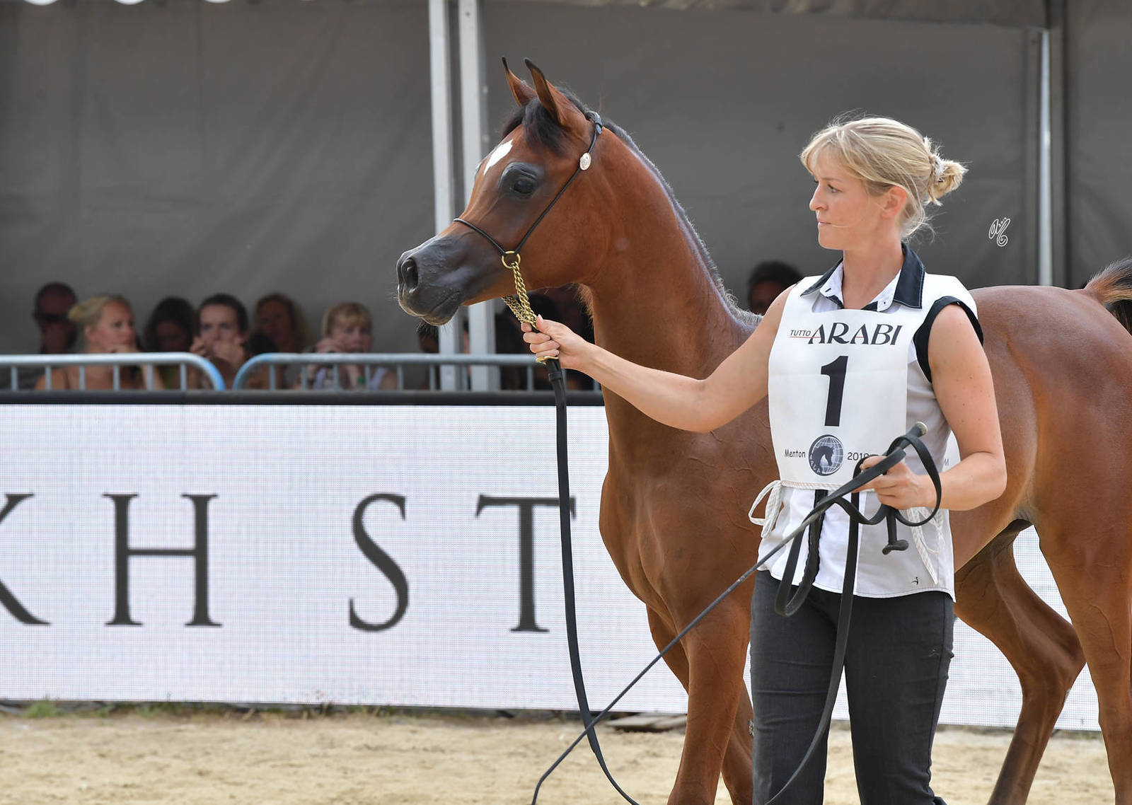 Lisa Abraham: MENTON ~ The 2019 Mediterranean & Arab Countries Arabian Horse Championship Photo Gallery