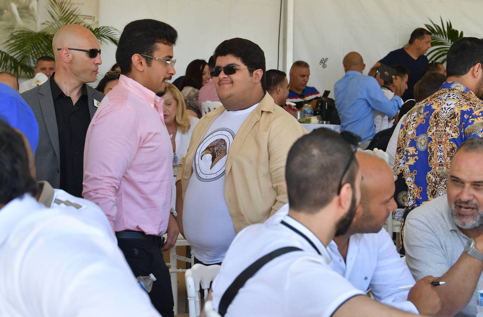 Lisa Abraham: MENTON ~ The 2019 Mediterranean & Arab Countries Arabian Horse Championship Photo Gallery