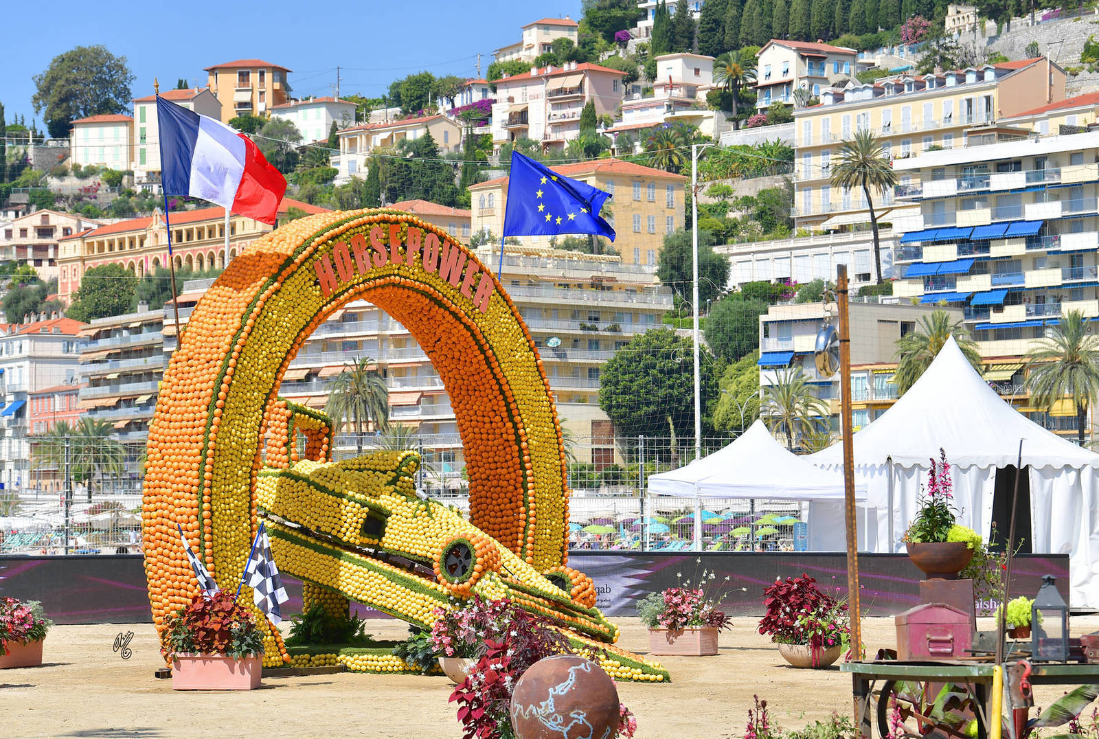 Lisa Abraham: MENTON ~ The 2019 Mediterranean & Arab Countries Arabian Horse Championship Photo Gallery