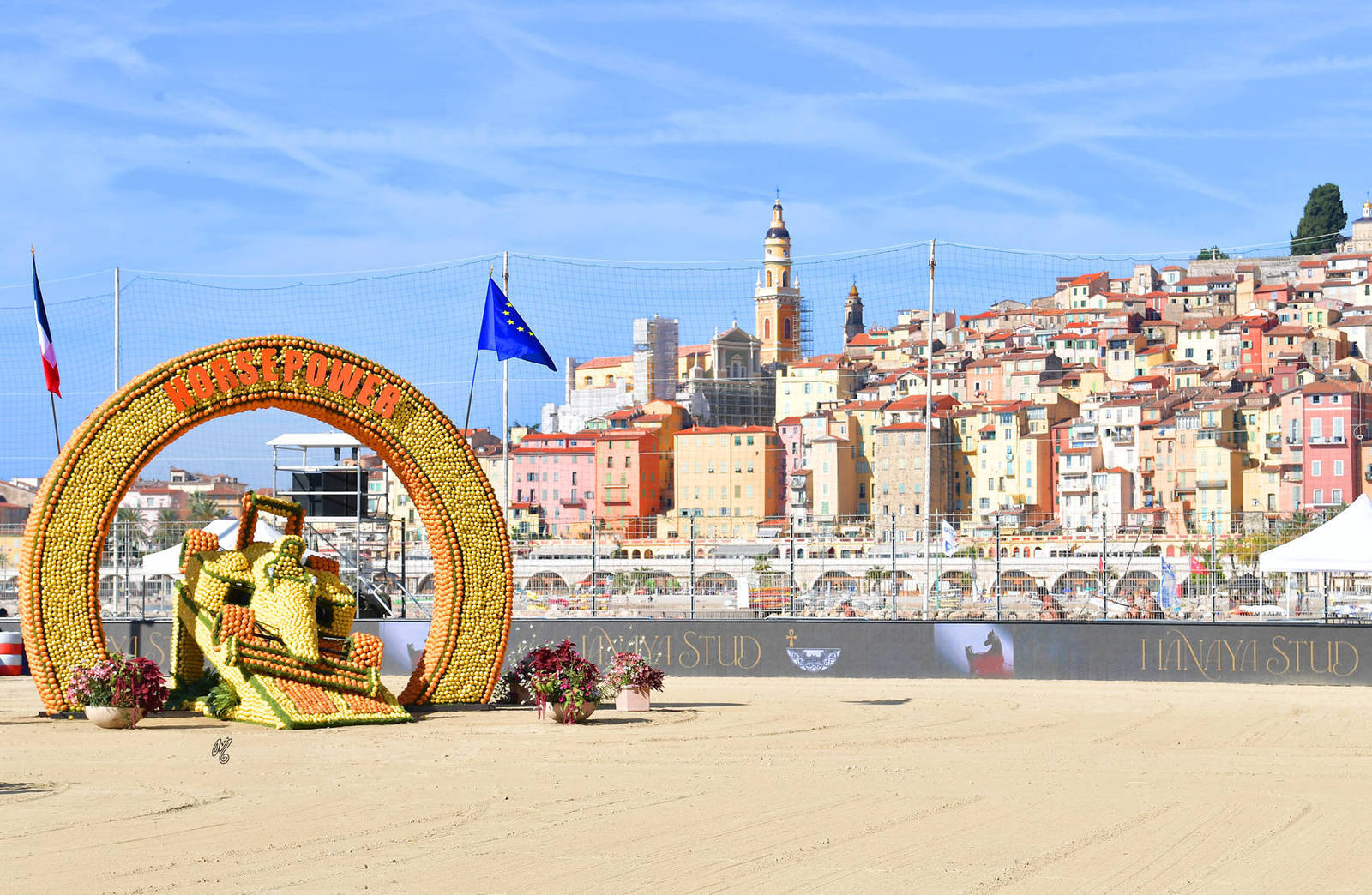 Lisa Abraham: MENTON ~ The 2019 Mediterranean & Arab Countries Arabian Horse Championship Photo Gallery