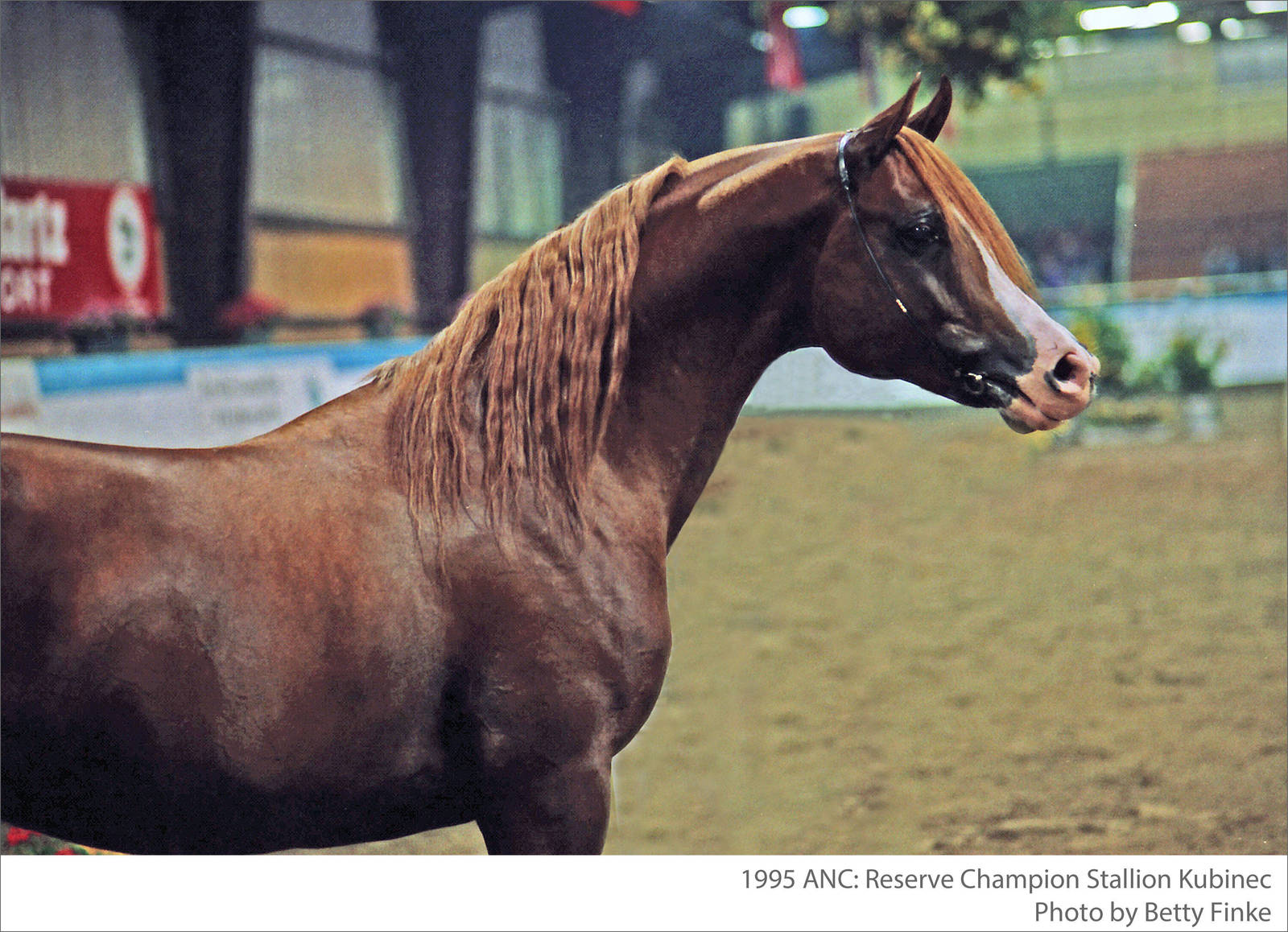 Lisa Abraham: A Conversation Between Friends: Dr. Hans J. Nagel and Klaus Beste