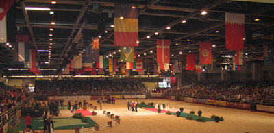 2005 France, Paris - Salon Du Cheval