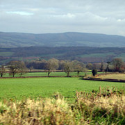 2005 England, West Exmoor 