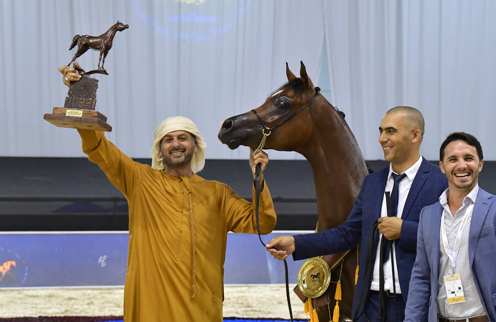 Junior Colt Gold Champion: D Sheimaz (FA El Rasheem X Ladi Veronika) 