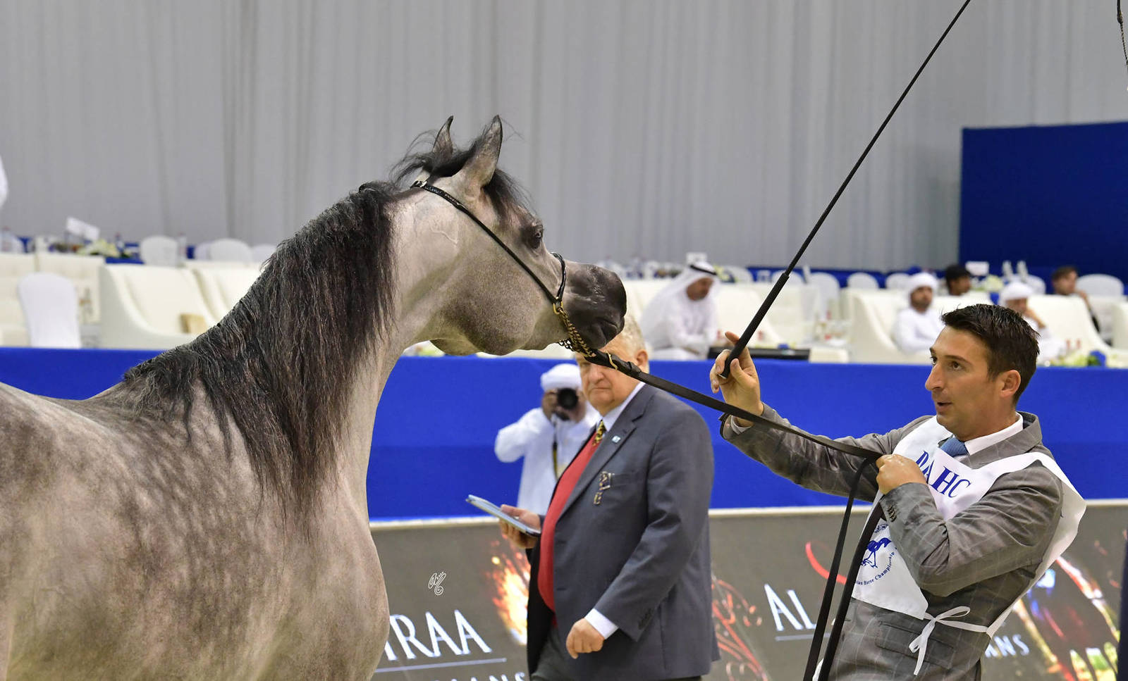 Junior Filly Bronze Champion: D Shihanah (FA El Rasheem X D Shahla) 