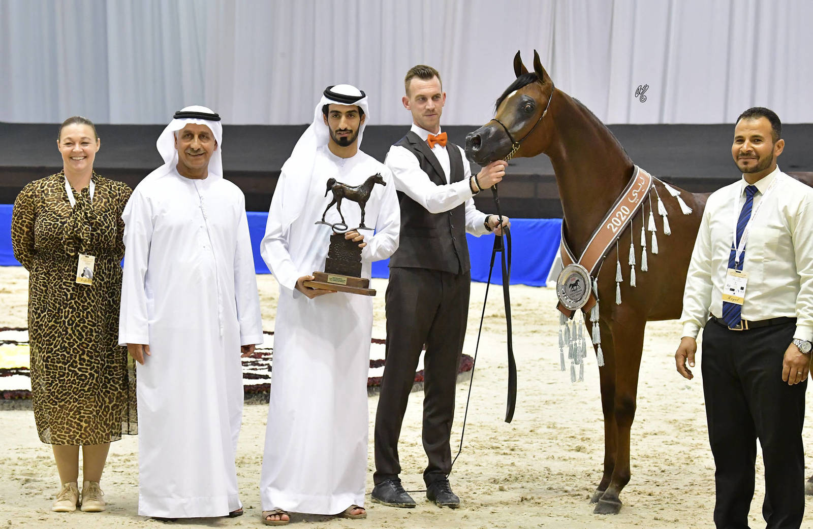 Yearling Colt Silver Champion: Ghaly Al Hawajer (Dominic M X Ghalyah Al Hawajer) 