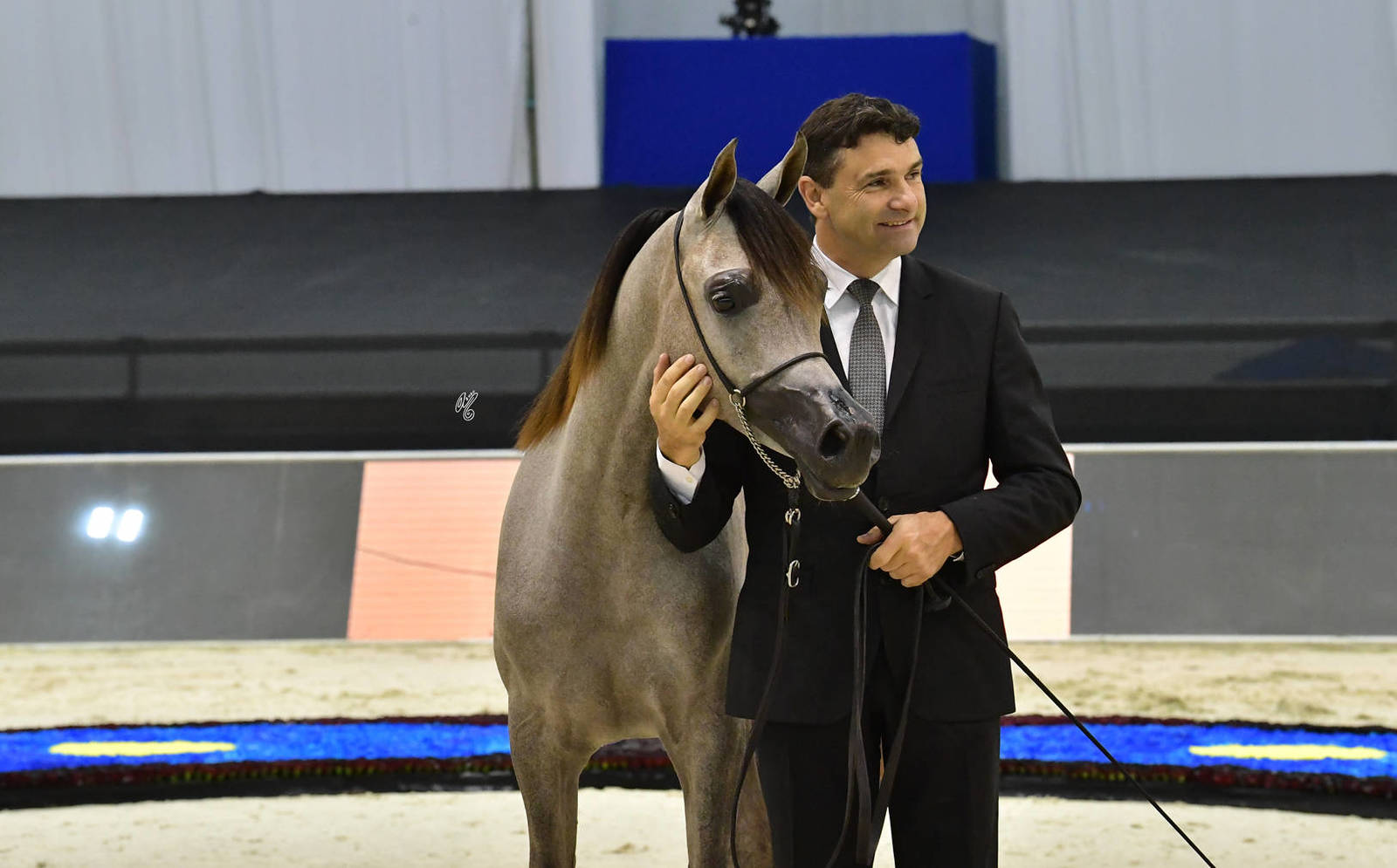 Yearling Filly Gold Champion: AJ AL Brraqah 5 (FA El Rasheem X Felicia RLC) 