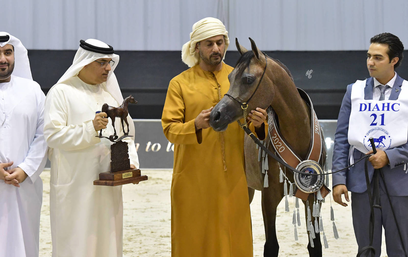 Yearling Filly Silver Champion: D Sireen (D Seraj X D Ra'afah) 