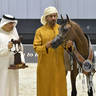Yearling Filly Silver Champion: D Sireen (D Seraj X D Ra'afah) 