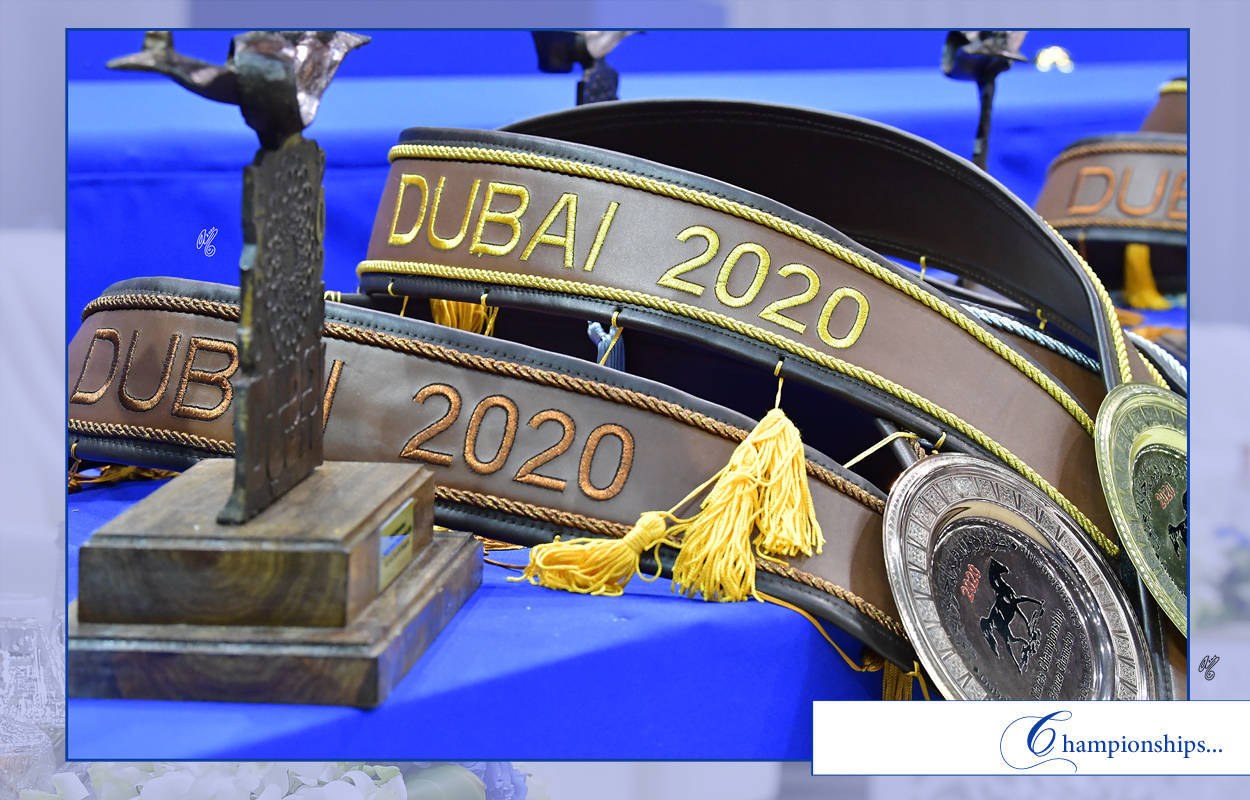 Lisa Abraham: The 2020 Dubai International Arabian Horse Championship PHOTO GALLERY