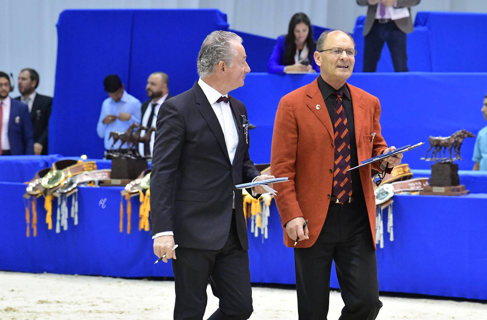 Lisa Abraham: The 2020 Dubai International Arabian Horse Championship PHOTO GALLERY