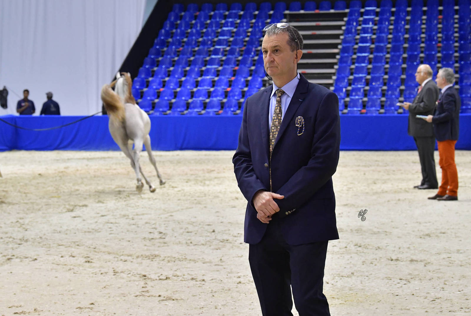 Lisa Abraham: The 2020 Dubai International Arabian Horse Championship PHOTO GALLERY