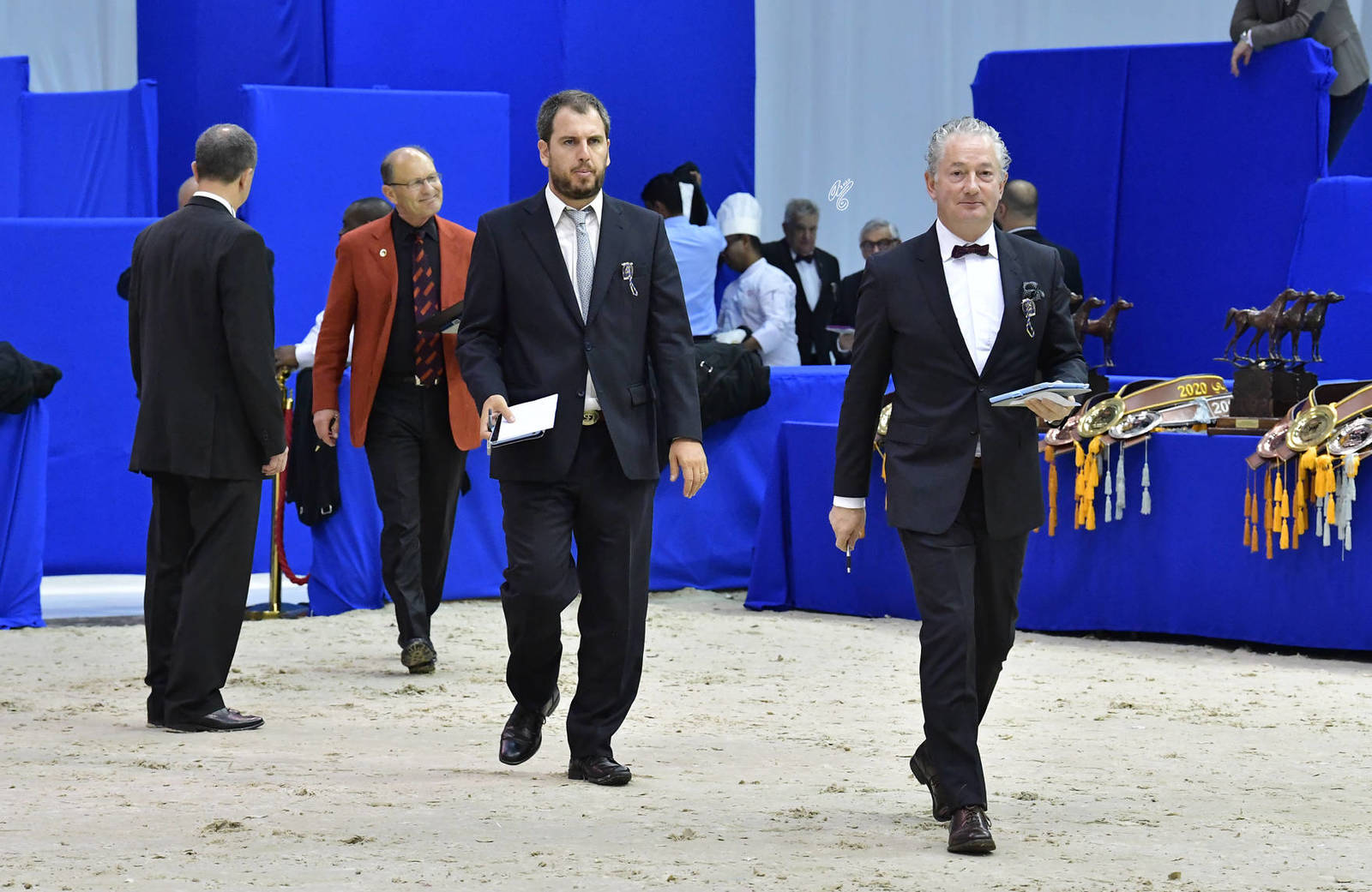 Lisa Abraham: The 2020 Dubai International Arabian Horse Championship PHOTO GALLERY