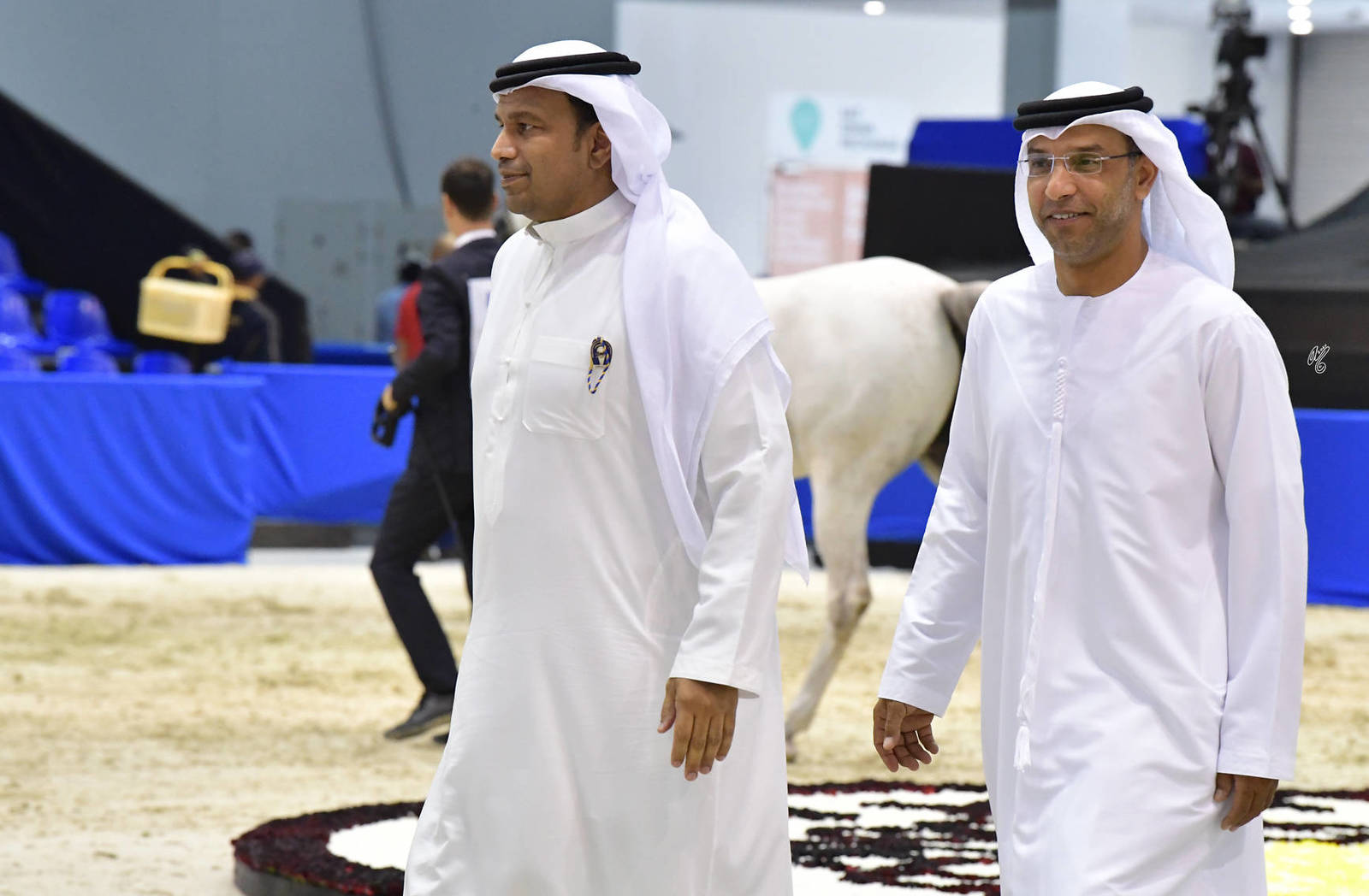 Lisa Abraham: The 2020 Dubai International Arabian Horse Championship PHOTO GALLERY