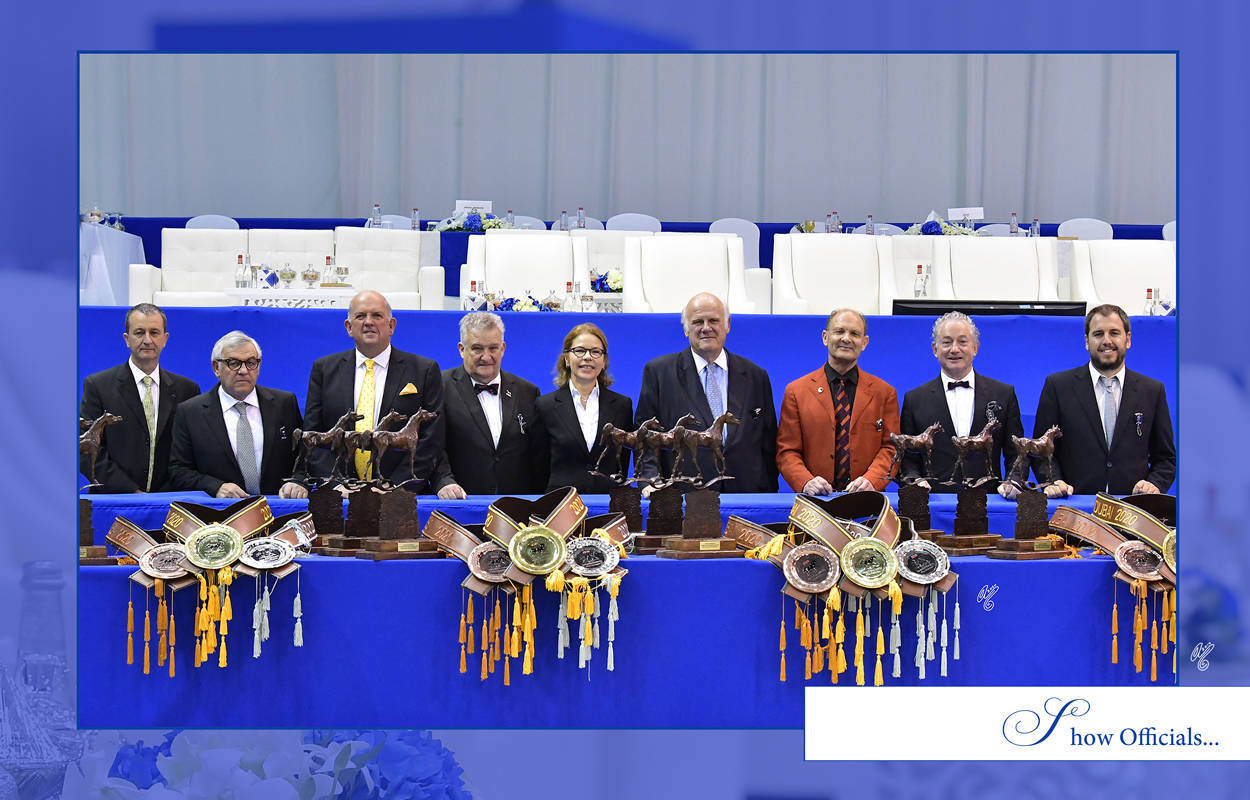 Lisa Abraham: The 2020 Dubai International Arabian Horse Championship PHOTO GALLERY