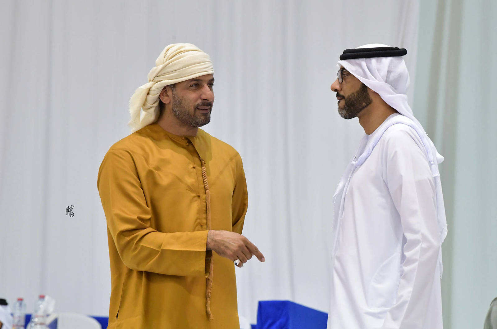 Lisa Abraham: The 2020 Dubai International Arabian Horse Championship PHOTO GALLERY