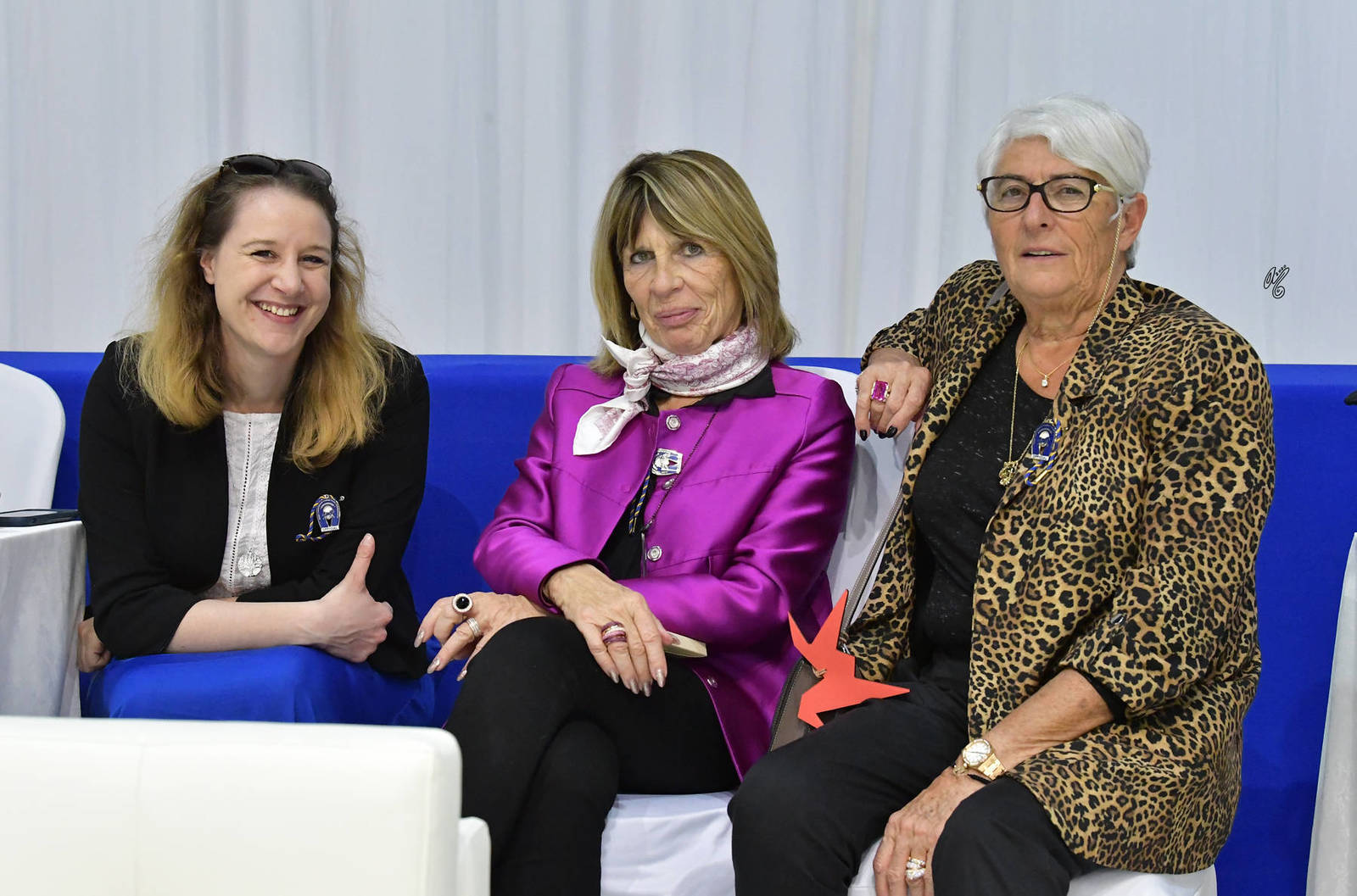 Lisa Abraham: The 2020 Dubai International Arabian Horse Championship PHOTO GALLERY