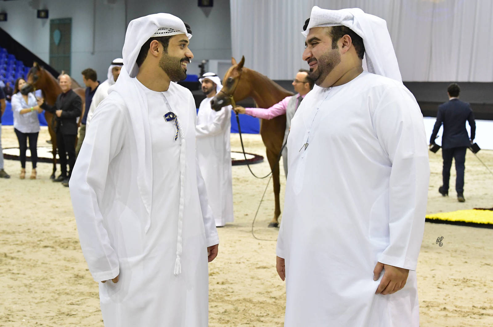 Lisa Abraham: The 2020 Dubai International Arabian Horse Championship PHOTO GALLERY
