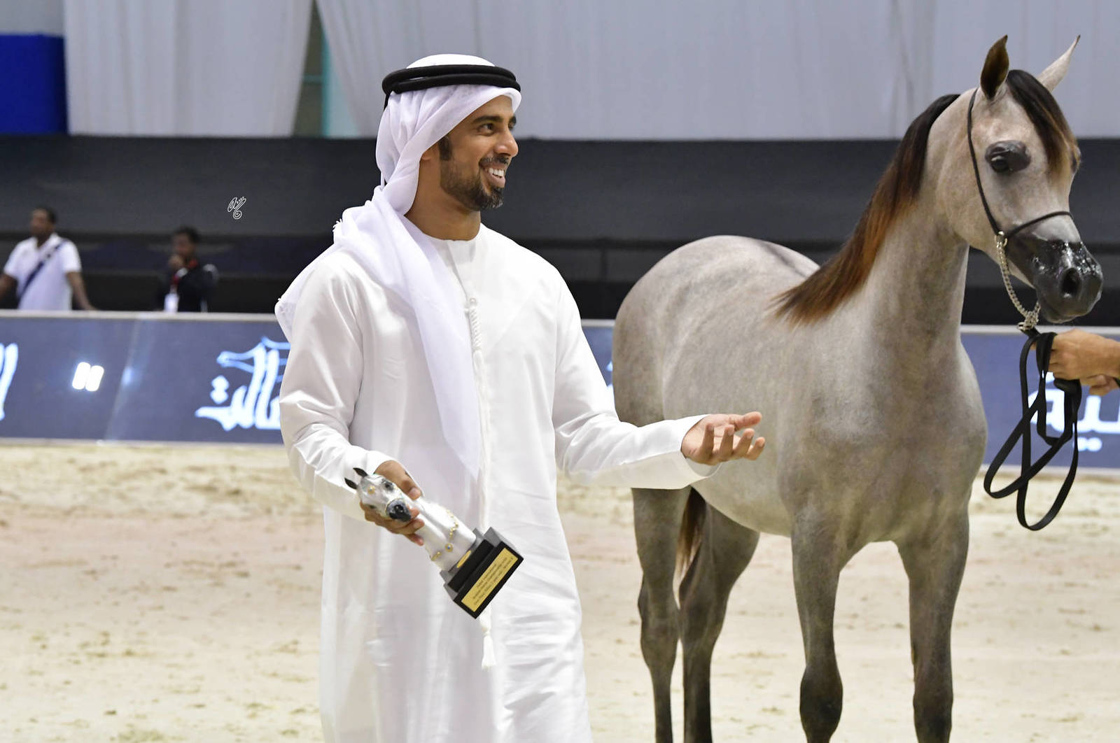 Lisa Abraham: The 2020 Dubai International Arabian Horse Championship PHOTO GALLERY