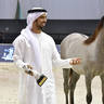 Lisa Abraham: The 2020 Dubai International Arabian Horse Championship PHOTO GALLERY